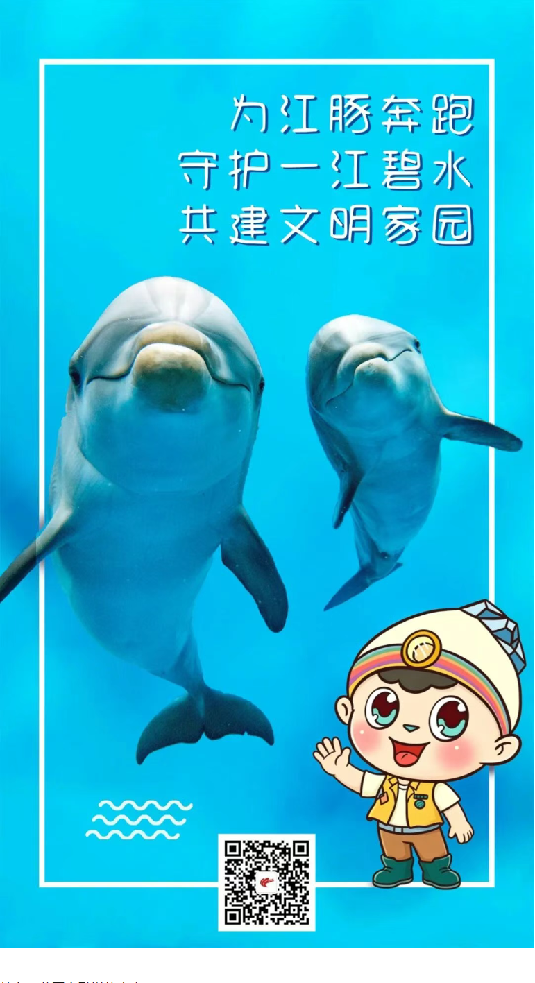 1781587353661938pOGi.png image.png